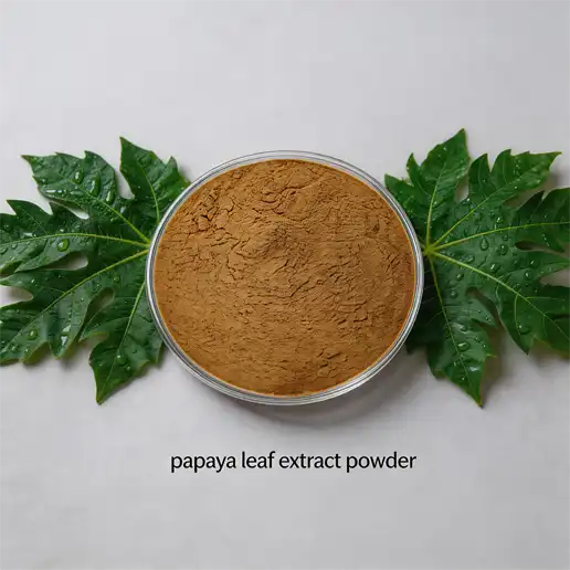 What Is Papaya Leaf Extract Powder and How Does It Work?